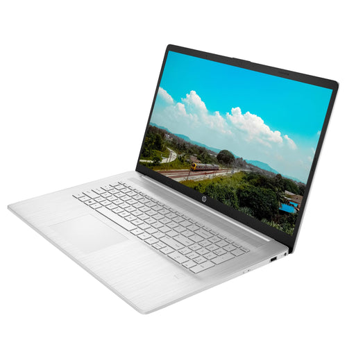 17.3'' Touchscreen AMD Ryzen 5 Laptop V5395