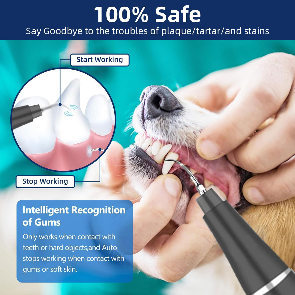 Ultrasonic Pet Plaque Remover with LED Light N696722