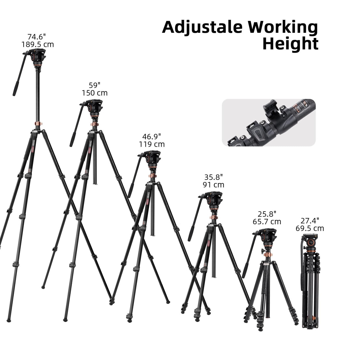 Carbon Fiber 4-Section Tripod R76644