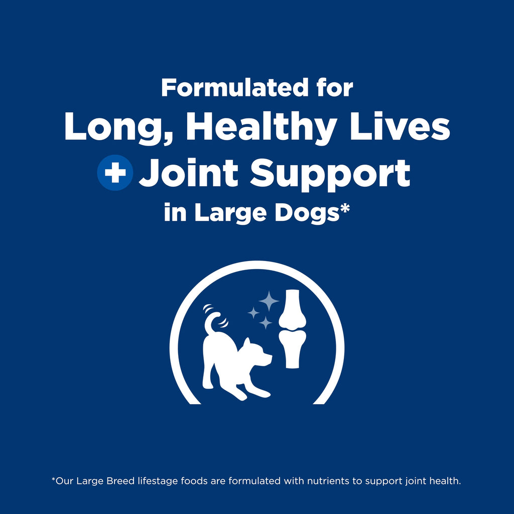 Large Breed Dry Dog Food Z937049