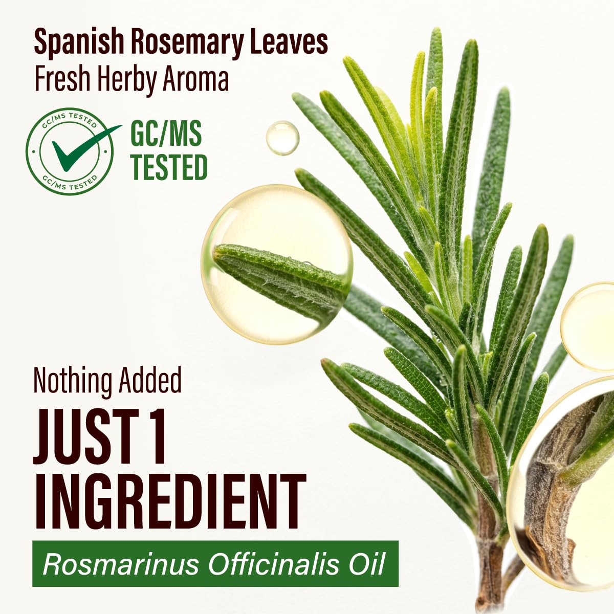 Rosemary Essential Oil 4 Fl Oz Pack of 3 O356128