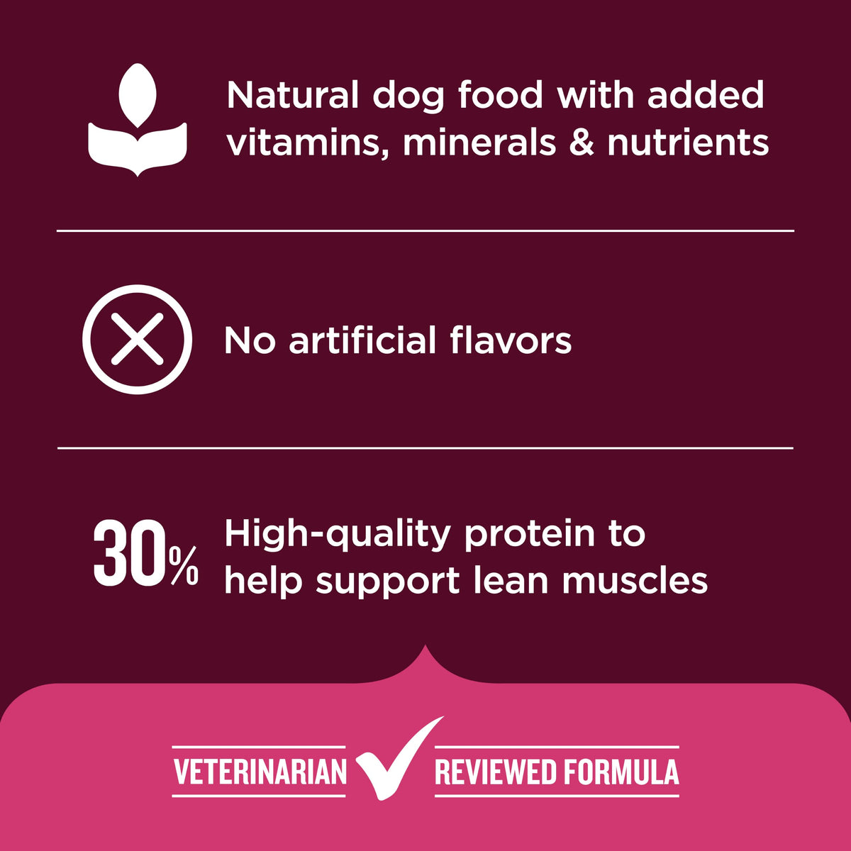 High Protein Dry Dog Food 4 lb. Bag H205