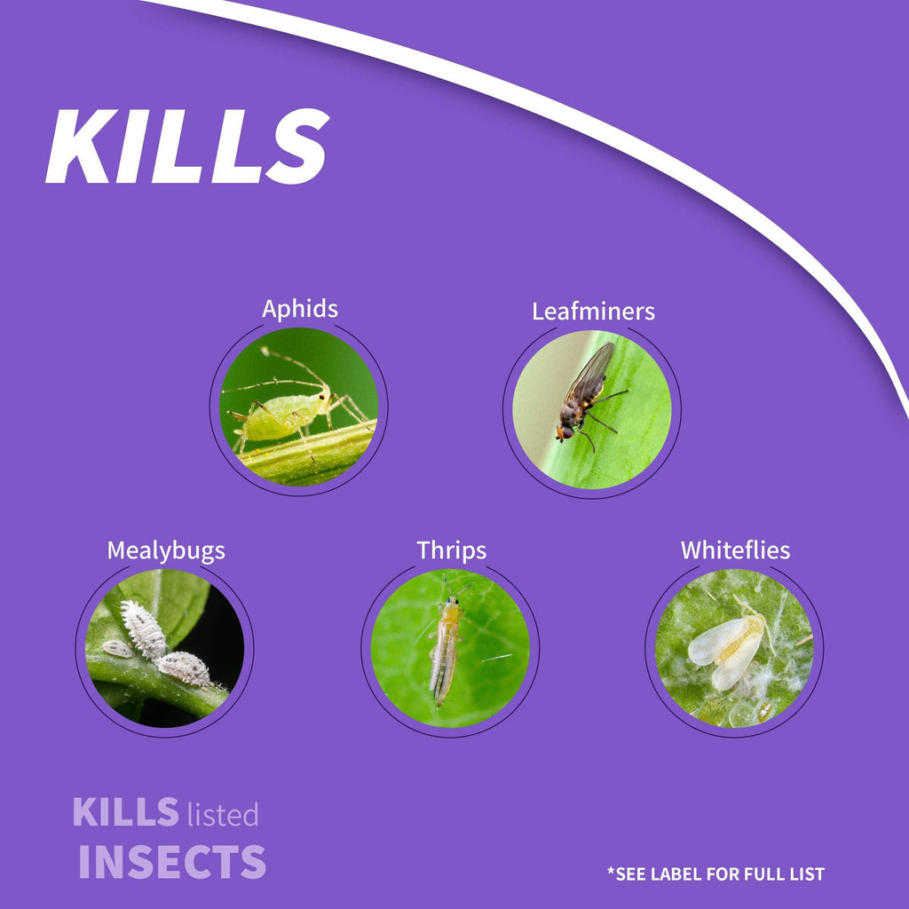 1 lb Insect Killer Granules R7414