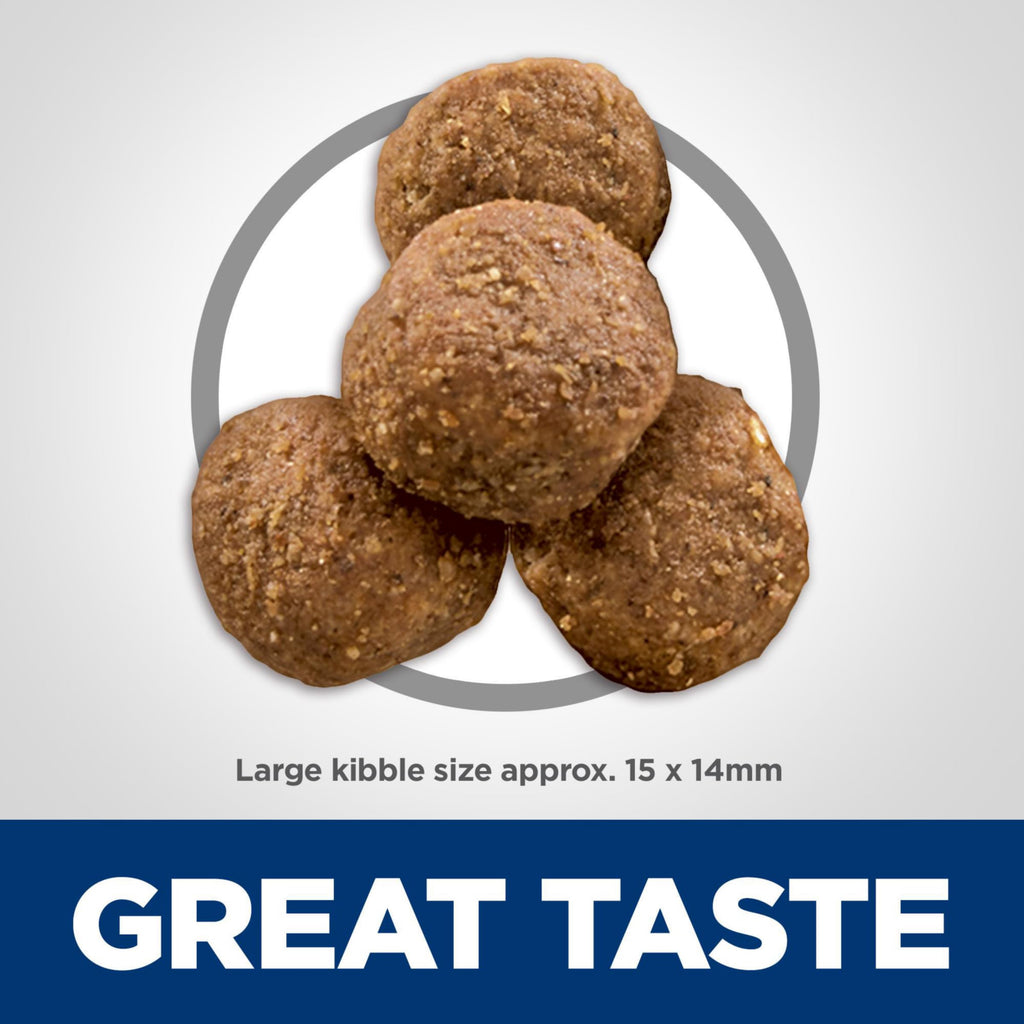 Large Breed Dry Dog Food Z937049