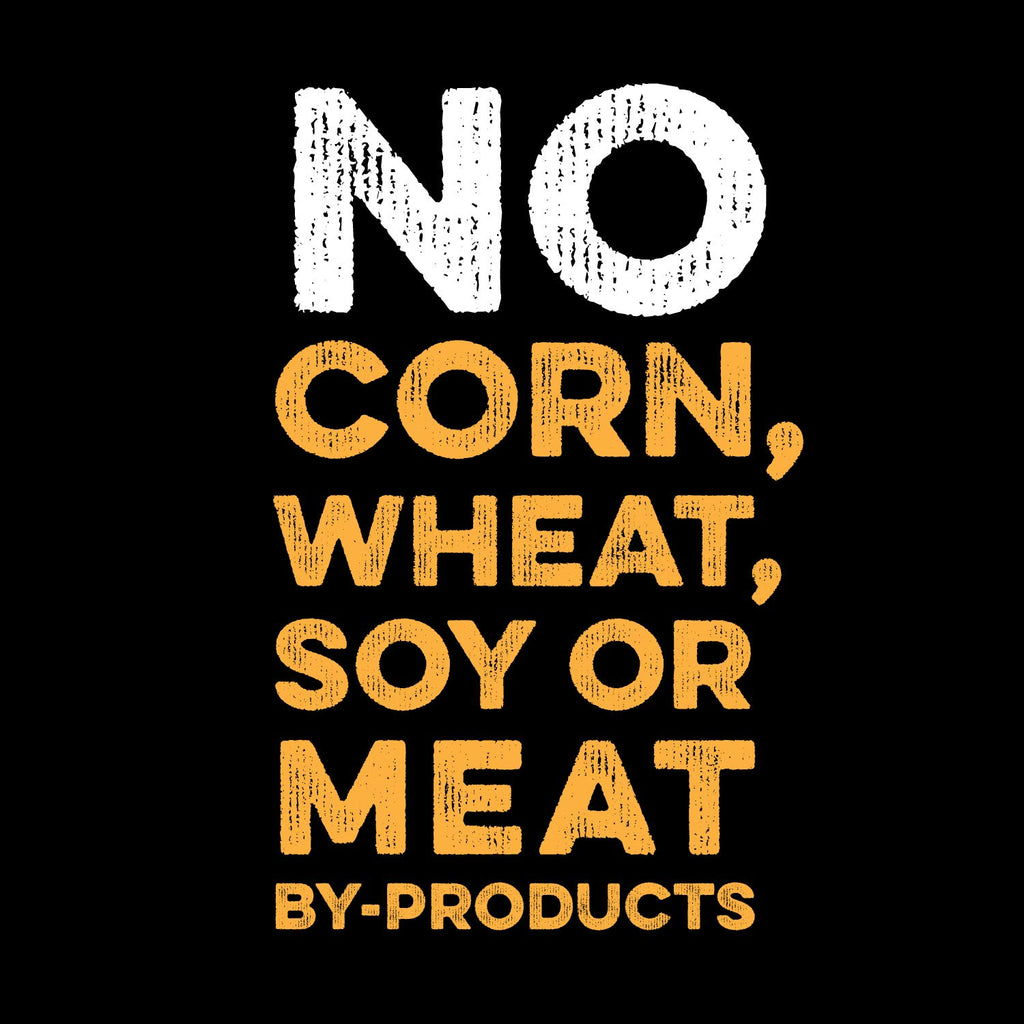 Chicken Meal And Rice Dog Food 40-Pound B7218