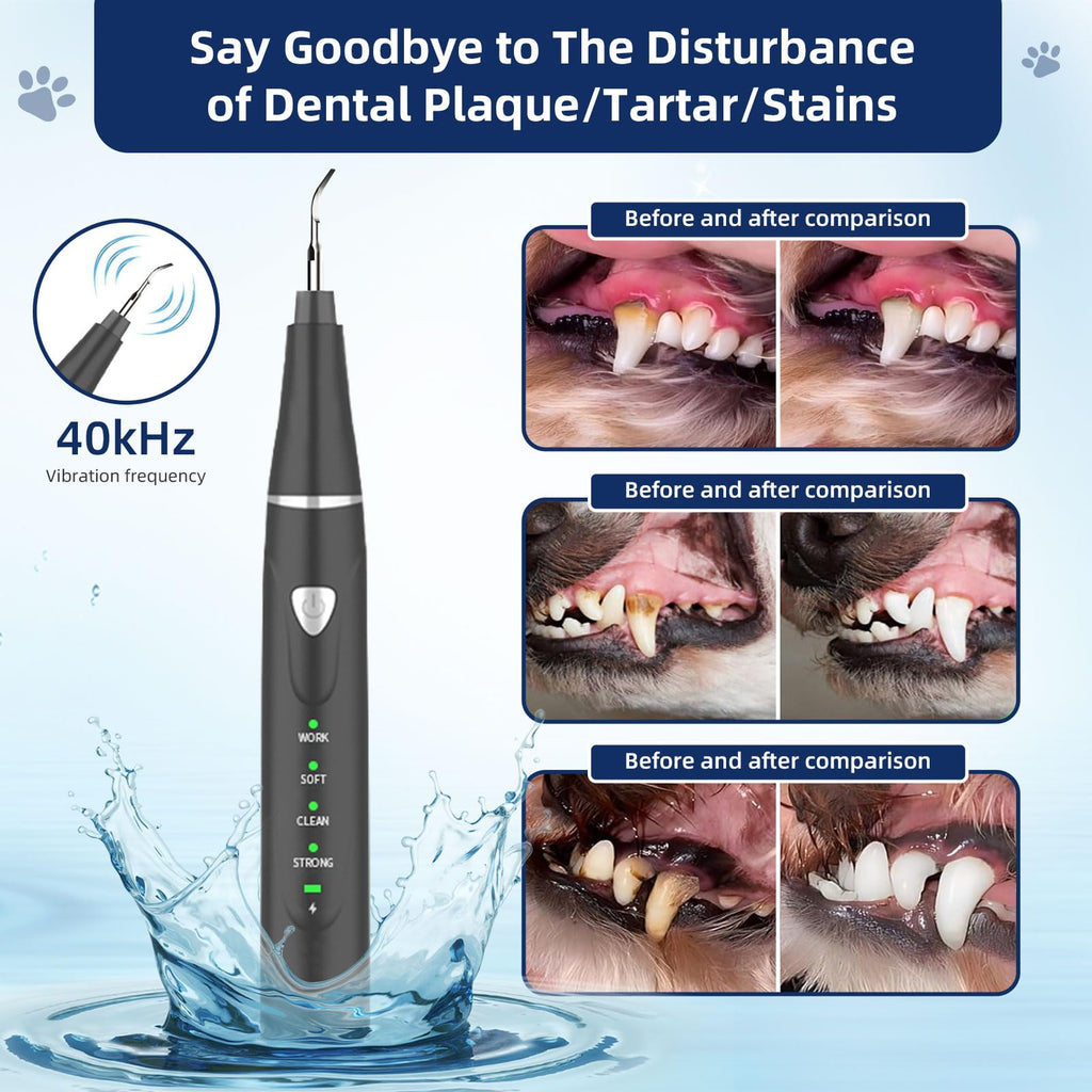 Ultrasonic Pet Plaque Remover with LED Light N696722