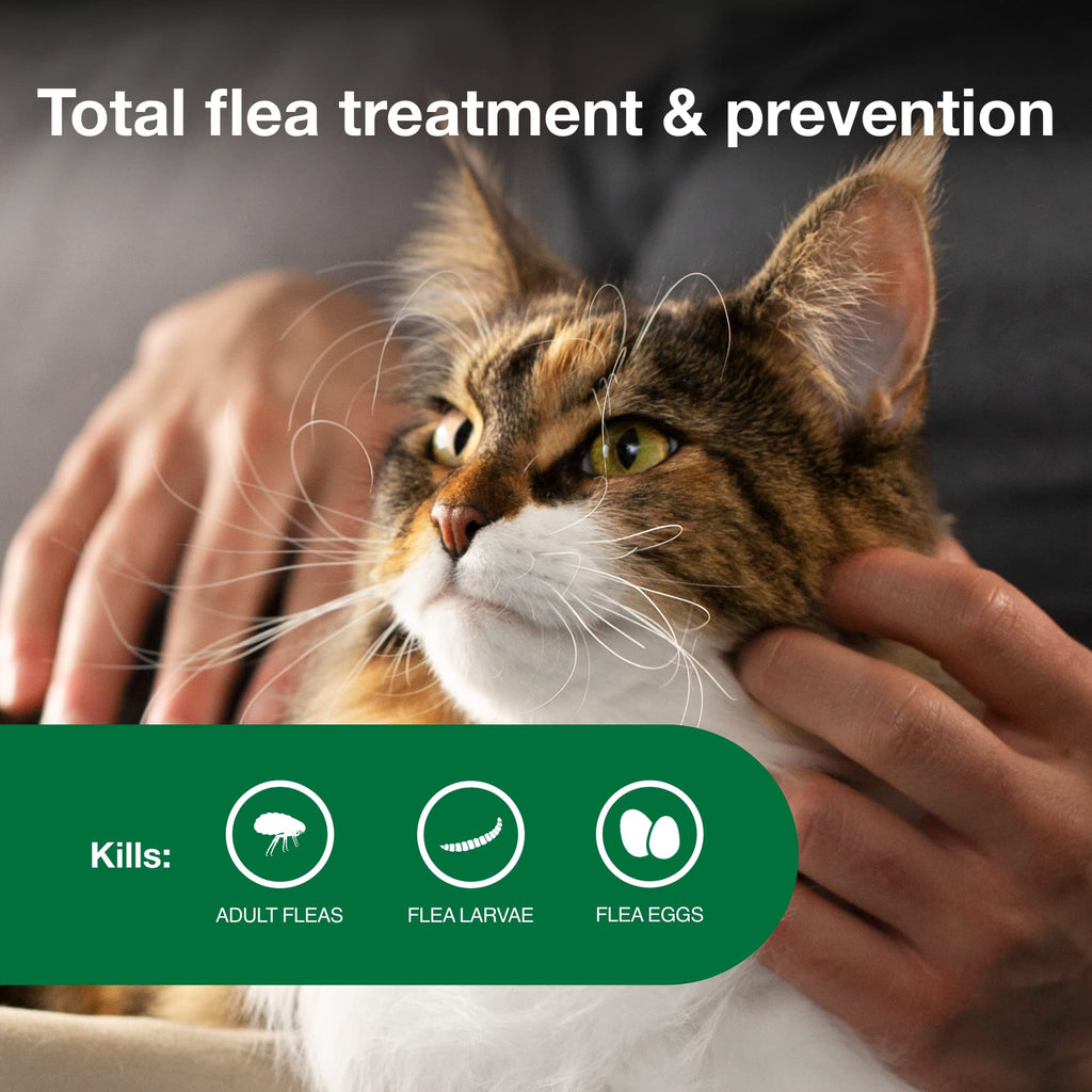 Large Cat Topical Flea Treatment & Prevention 2ct P46735