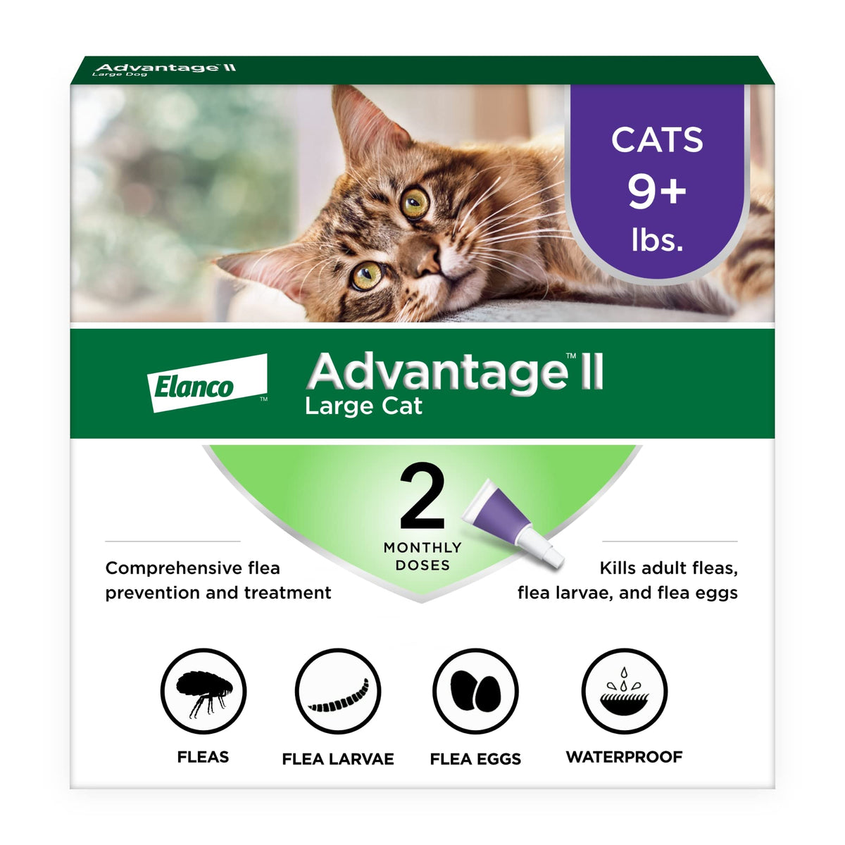 Large Cat Topical Flea Treatment & Prevention 2ct P46735