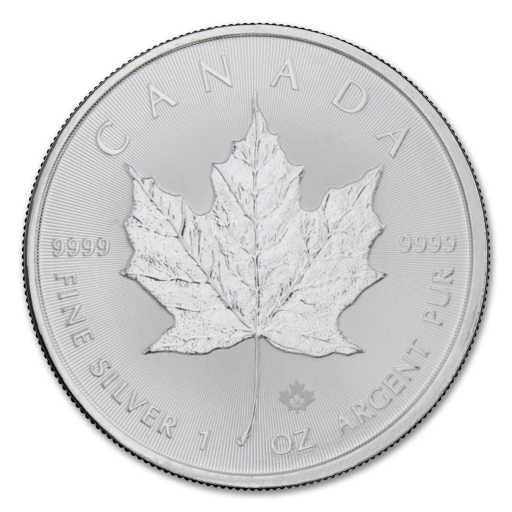 1 oz Canadian Maple Leaf Silver Coin Y6079