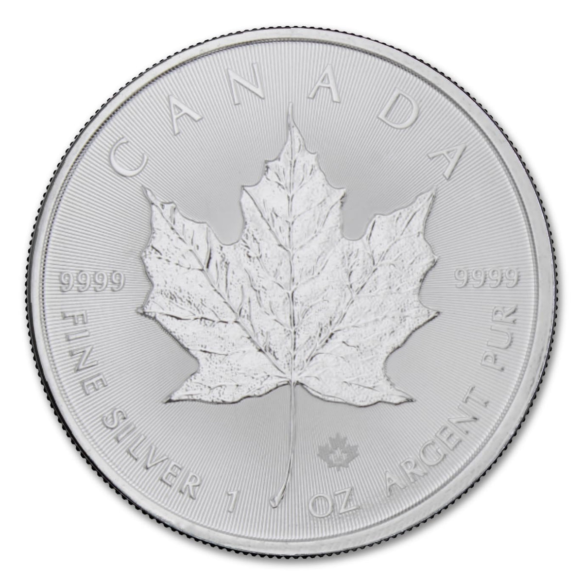 1 oz Canadian Maple Leaf Silver Coin Y6079