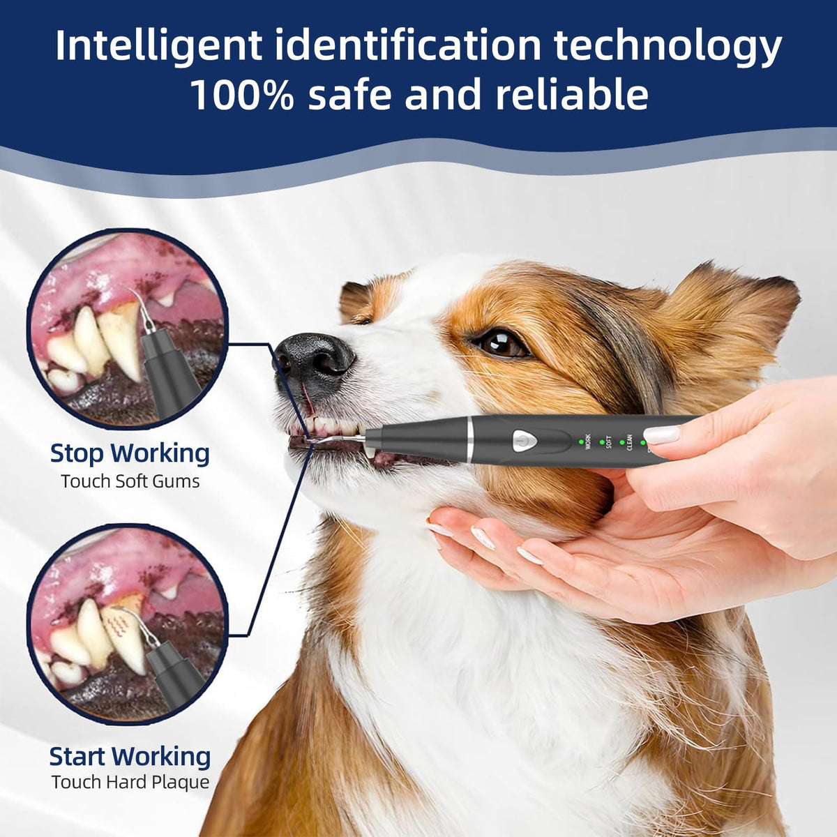 Ultrasonic Pet Plaque Remover with LED Light N696722