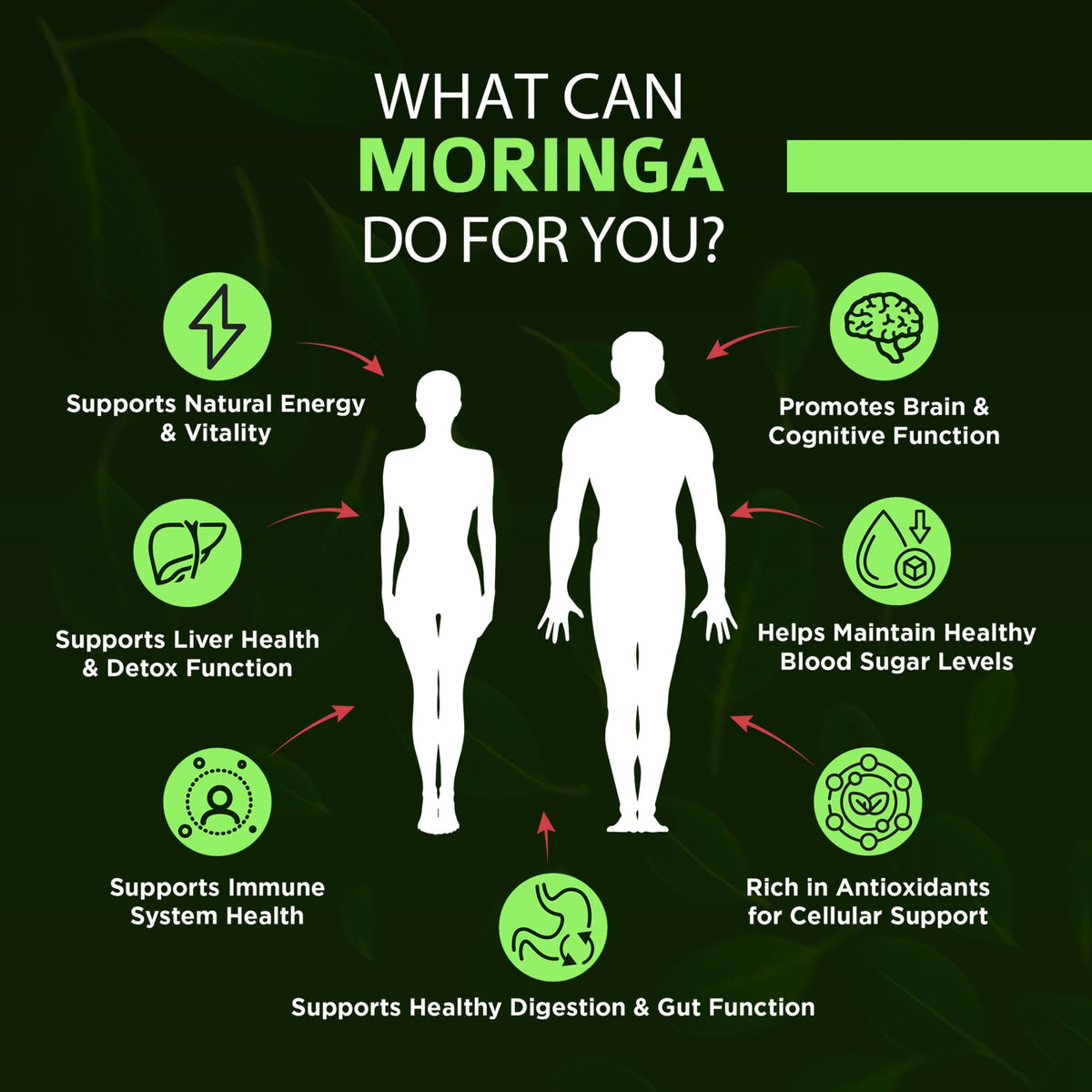 Organic Moringa 1000mg 120 Vegan Capsules T31176