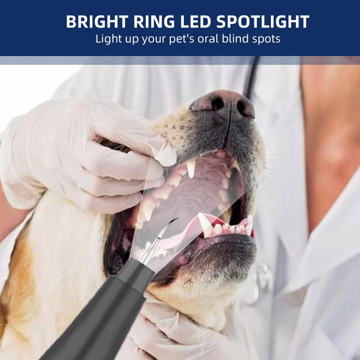 Ultrasonic Pet Plaque Remover with LED Light N696722