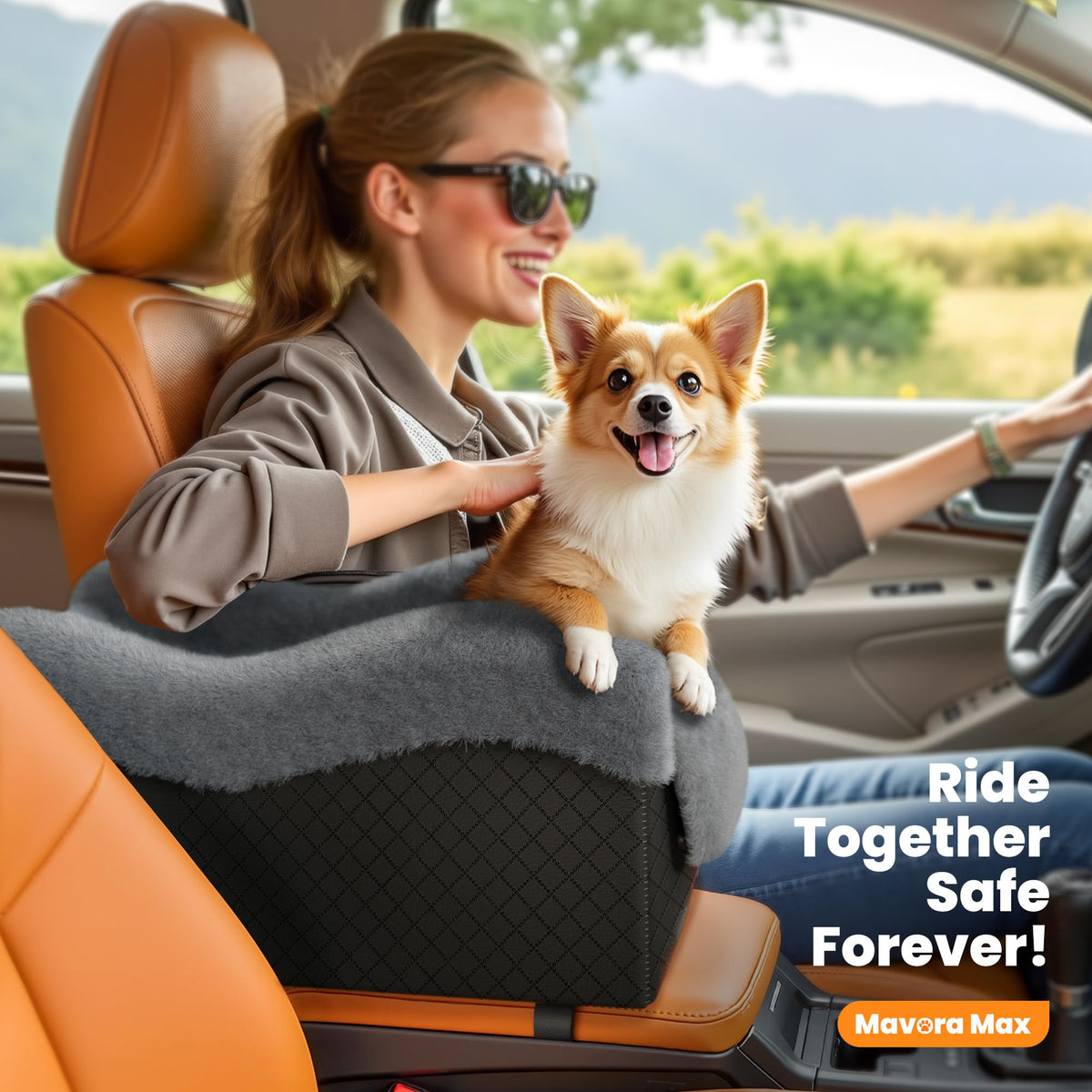 Grey Dog Car Seat Q4867