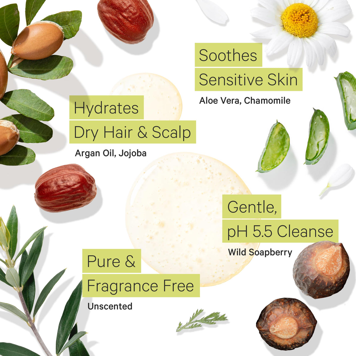 Fragrance Free Shampoo and Argan Oil Conditioner U17184