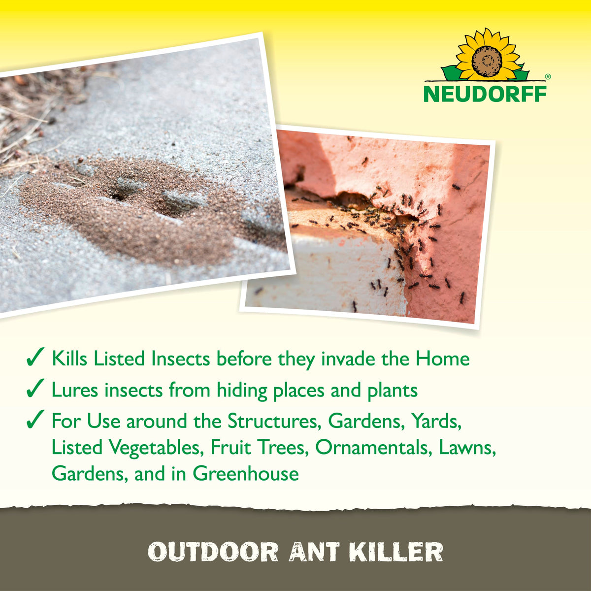 Outdoor Ant Bait Granules 1 LB H373819