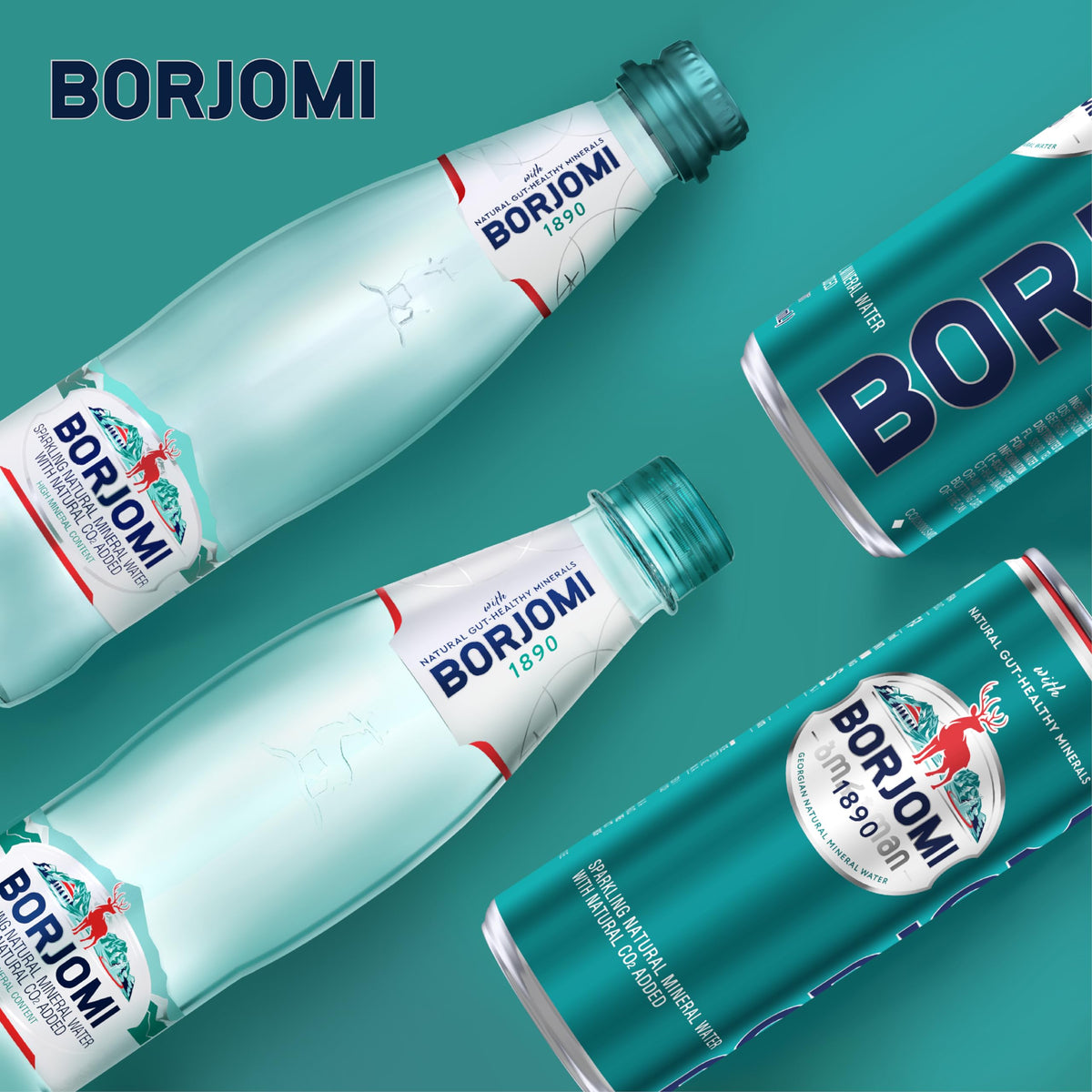 Sparkling Mineral Water 33.8 oz 6 Pack S22562