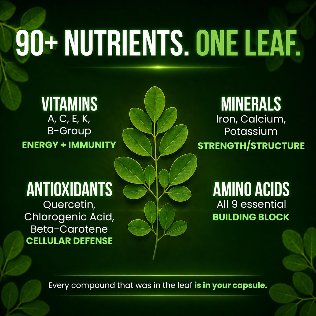Organic Moringa 1000mg 120 Vegan Capsules T31176