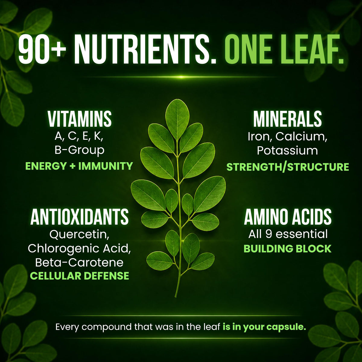 Organic Moringa 1000mg 120 Vegan Capsules T31176