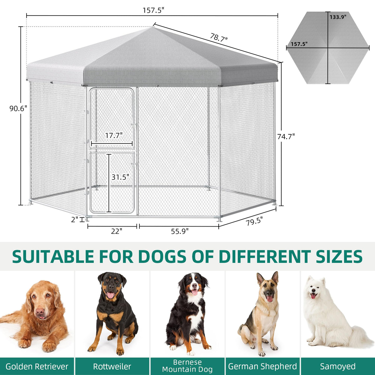 Extra Large Outdoor Dog Kennel Q9021