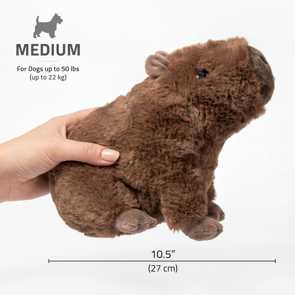 Plush Squeaky Dog Toy Q9346