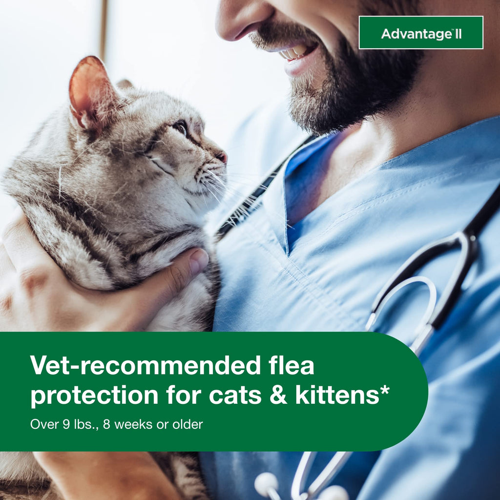 Large Cat Topical Flea Treatment & Prevention 2ct P46735