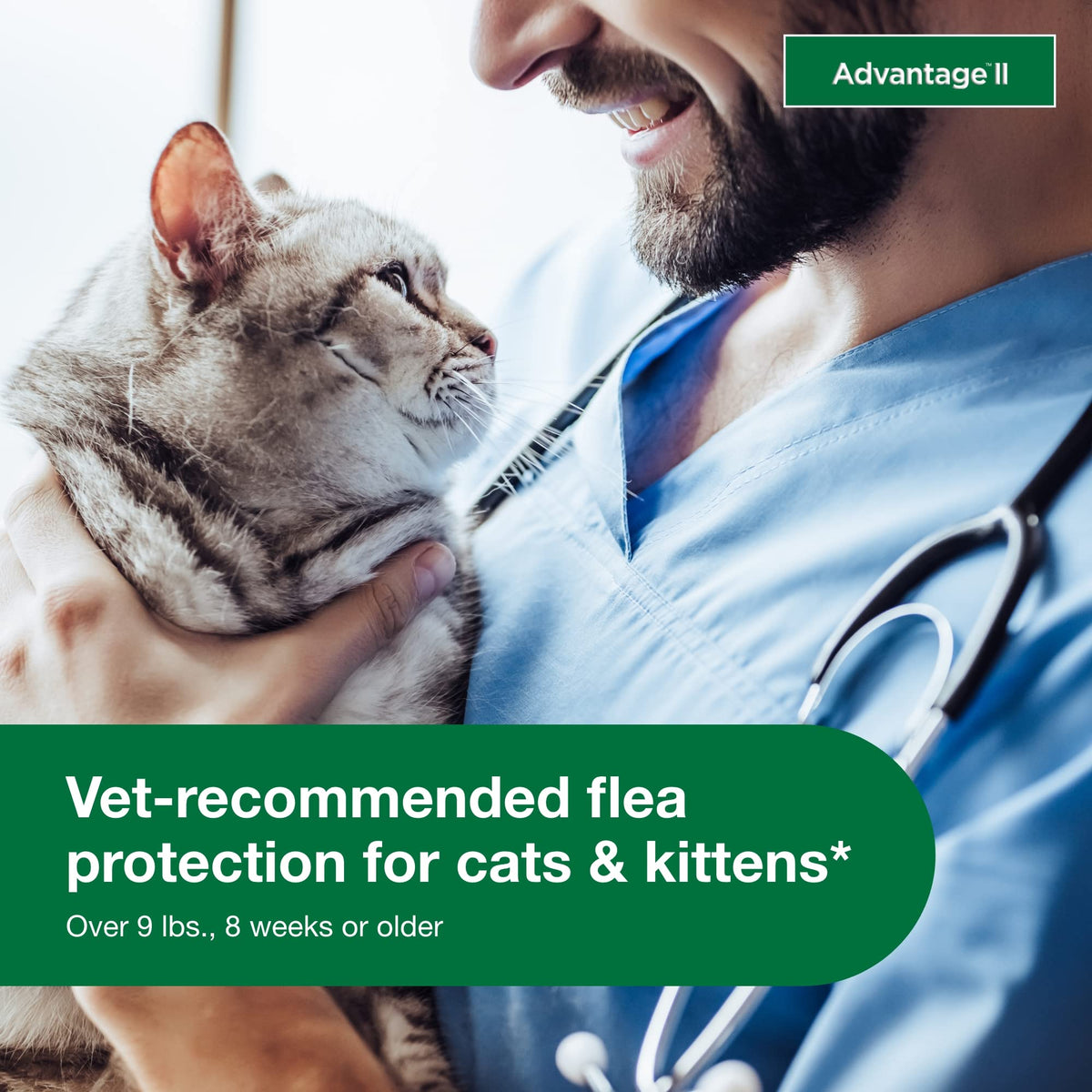 Large Cat Topical Flea Treatment & Prevention 2ct P46735