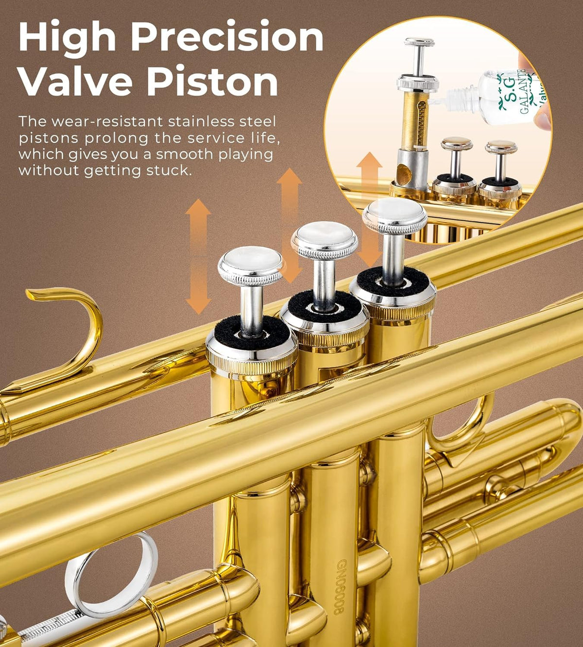 Bb Trumpet Gold Finish Brass R56460