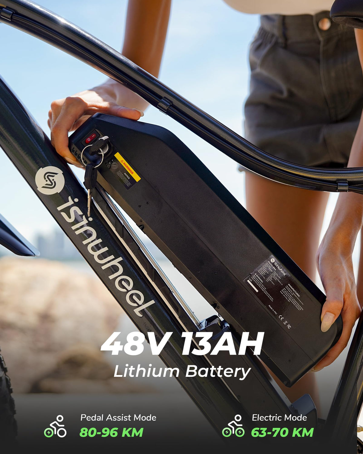 1000W 22 MPH 20"x4" Fat Tire Electric Bike M686