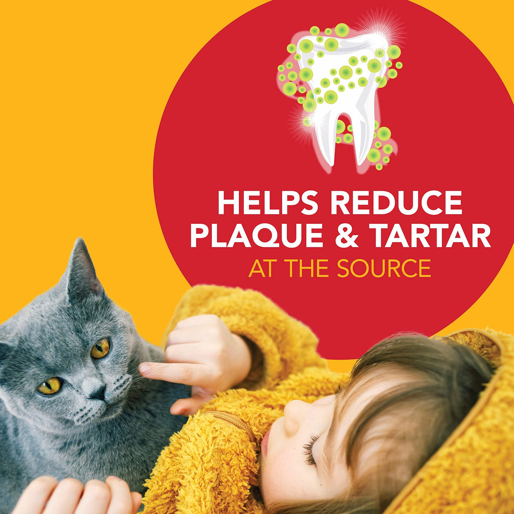 Cat Toothbrush and Toothpaste Kit Malt Flavor 2.5oz K410770