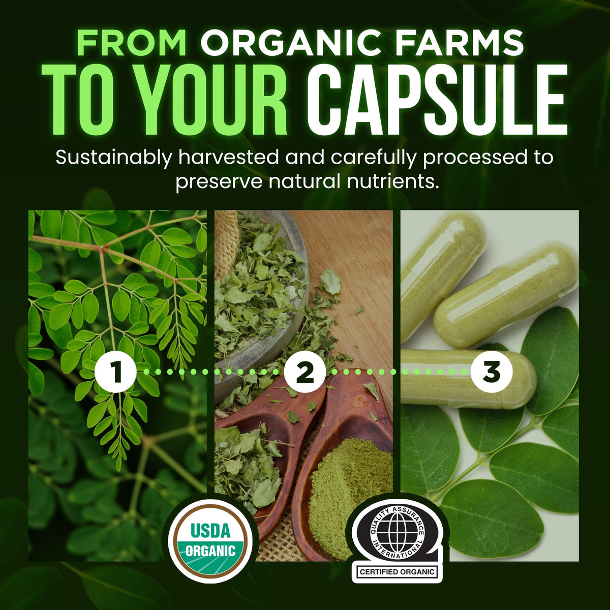 Organic Moringa 1000mg 120 Vegan Capsules T31176