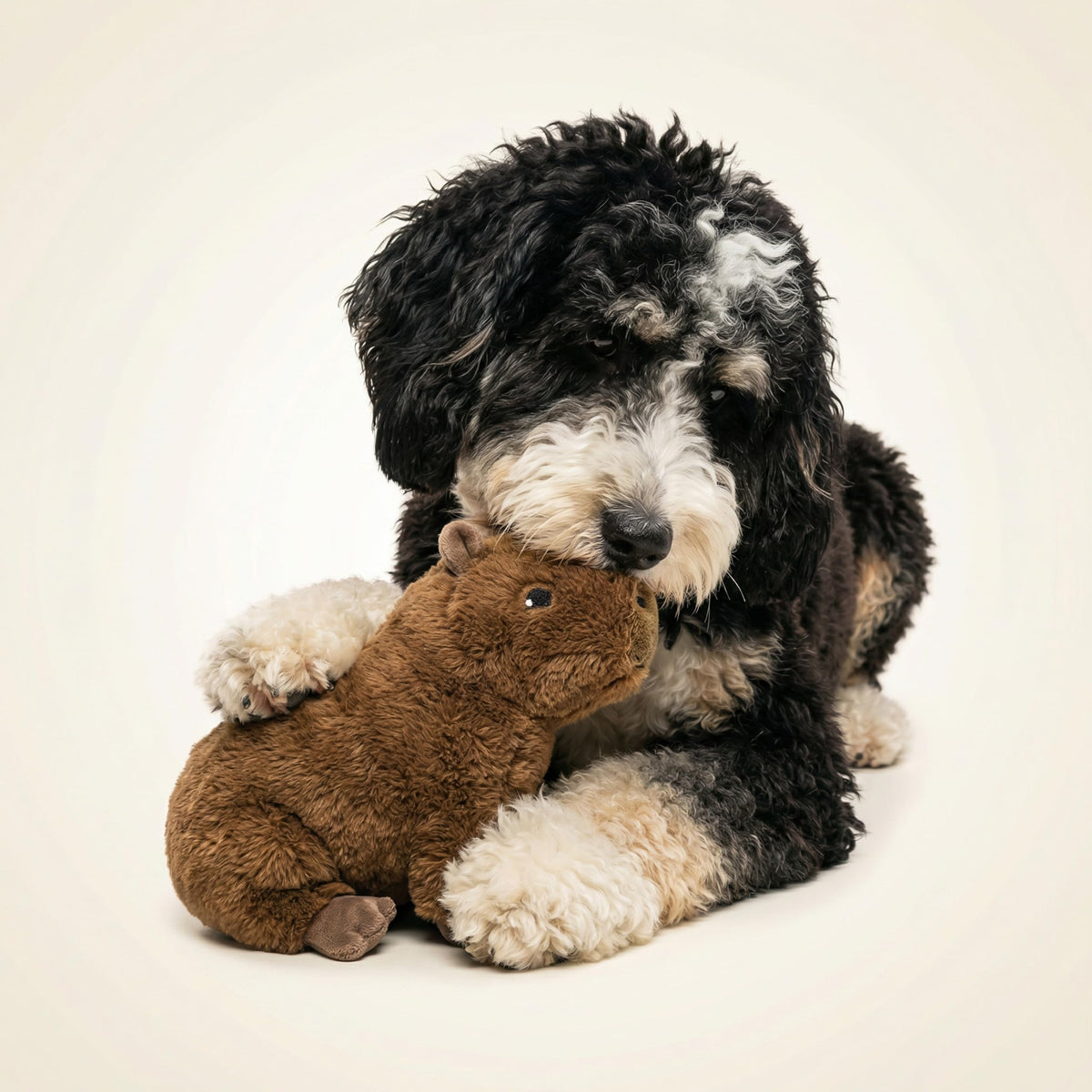 Plush Squeaky Dog Toy Q9346