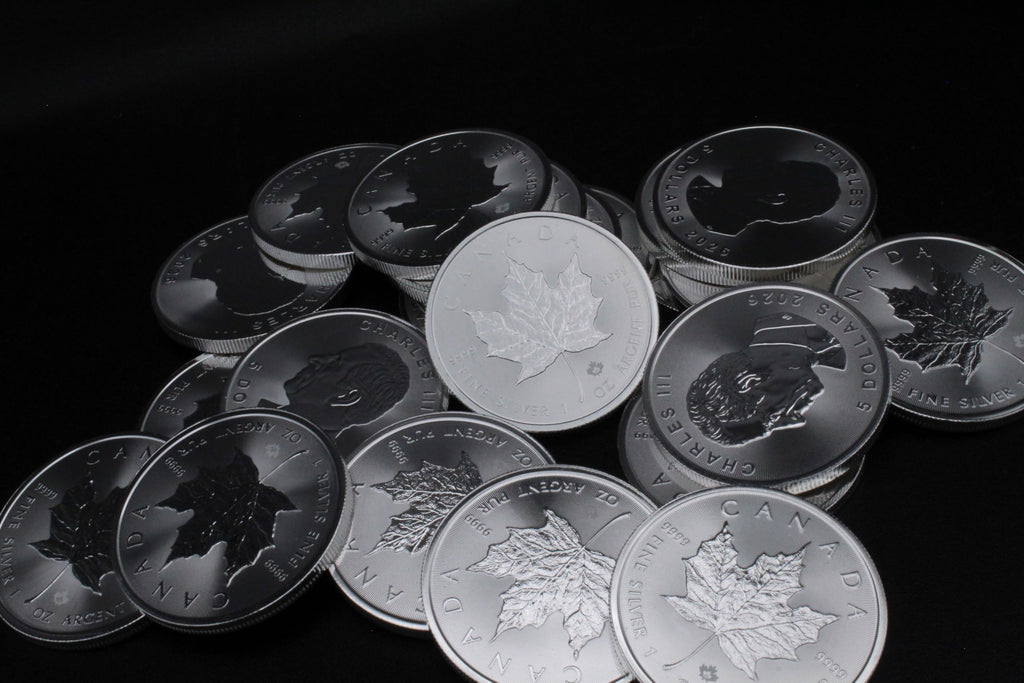 1 oz Canadian Maple Leaf Silver Coin Y6079