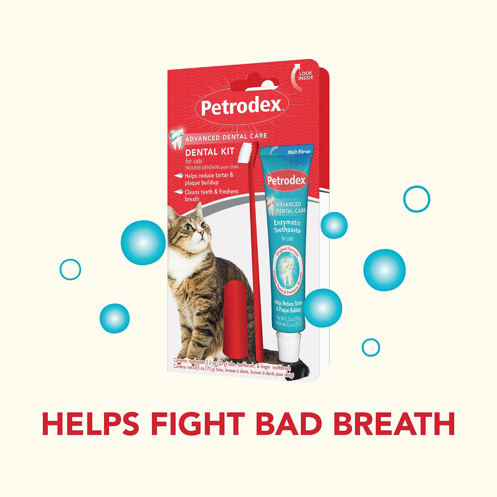 Cat Toothbrush and Toothpaste Kit Malt Flavor 2.5oz K410770