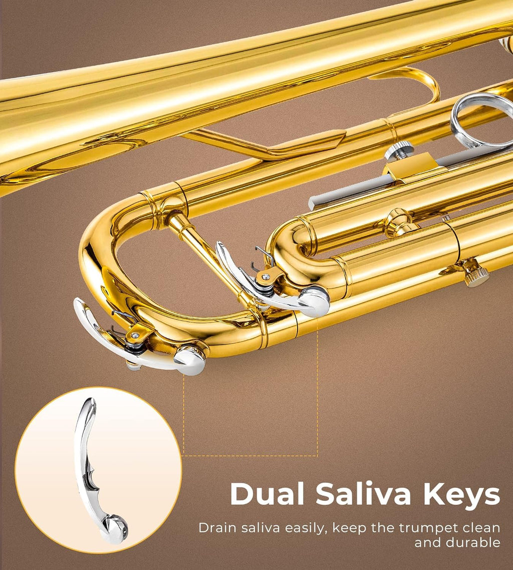 Bb Trumpet Gold Finish Brass R56460