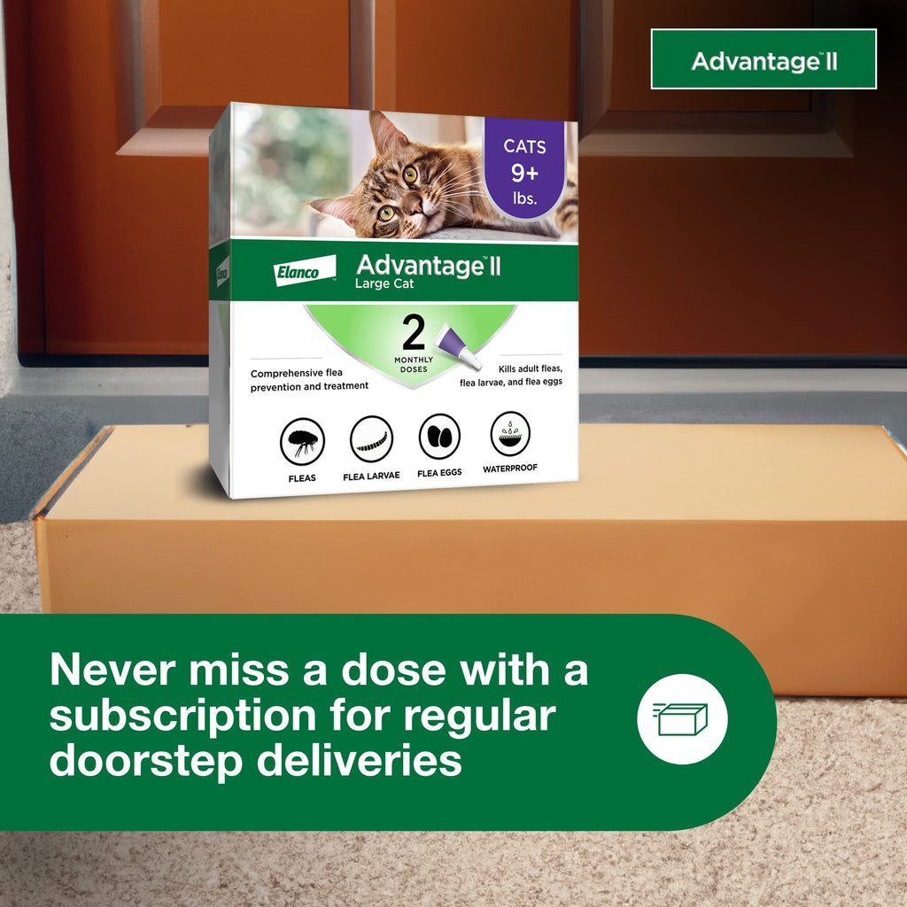 Large Cat Topical Flea Treatment & Prevention 2ct P46735