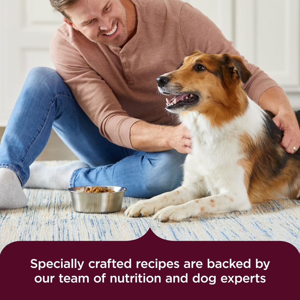 High Protein Dry Dog Food 4 lb. Bag H205