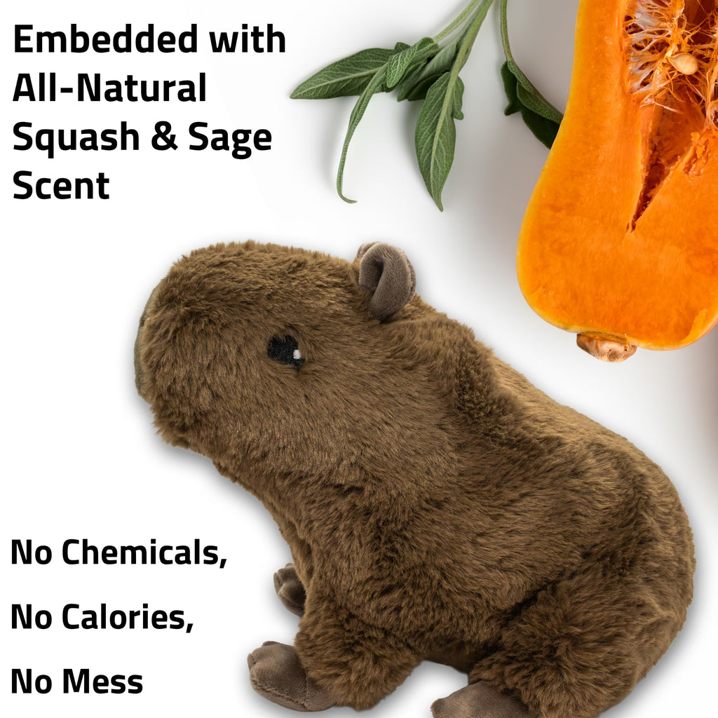 Plush Squeaky Dog Toy Q9346