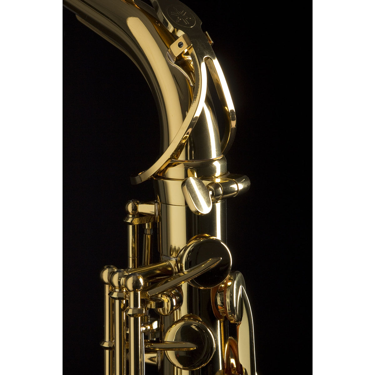 Alto Saxophone Eb Gold Lacquer D32477