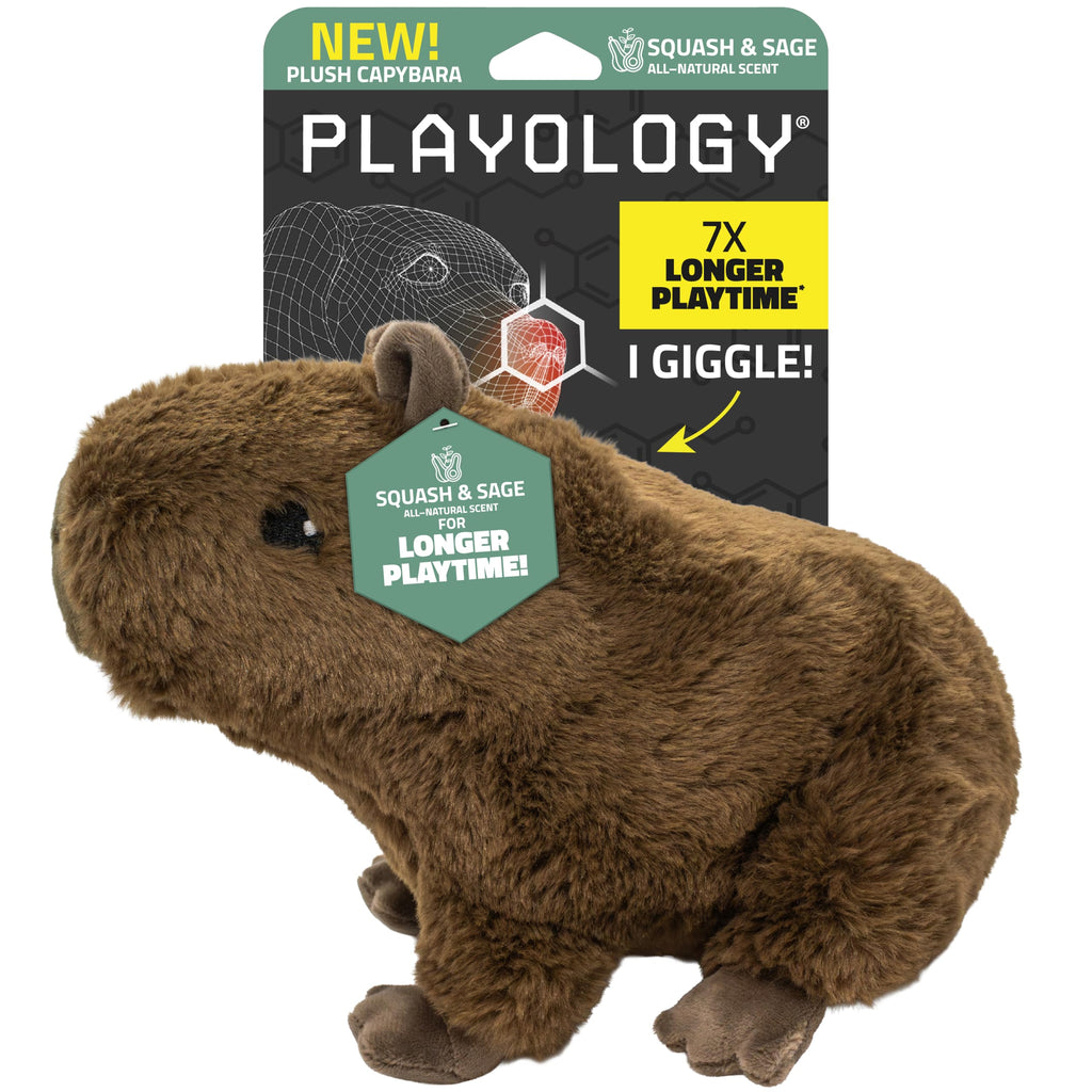 Plush Squeaky Dog Toy Q9346
