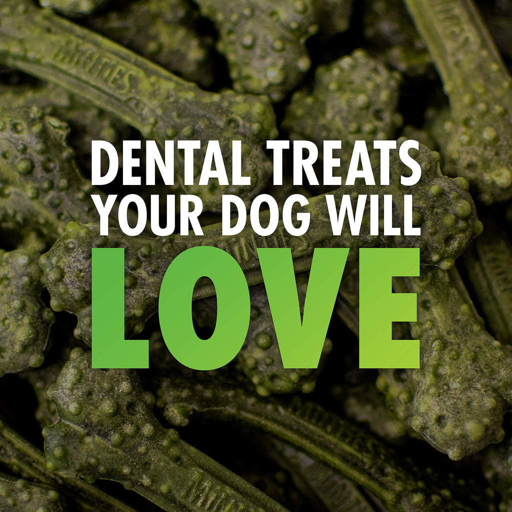 Minties Dog Dental Bone Treats V76394