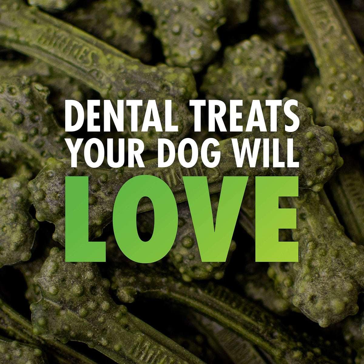 Minties Dog Dental Bone Treats V76394